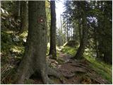 Planina Blato - Planina pod Mišelj vrhom